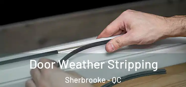  Door Weather Stripping Sherbrooke - QC