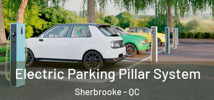 Electric Parking Pillar System Sherbrooke - QC