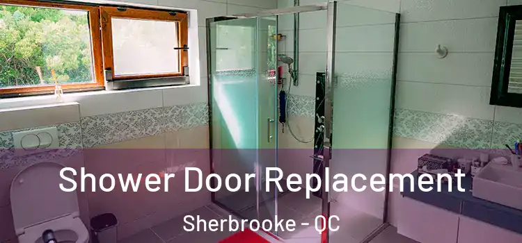  Shower Door Replacement Sherbrooke - QC